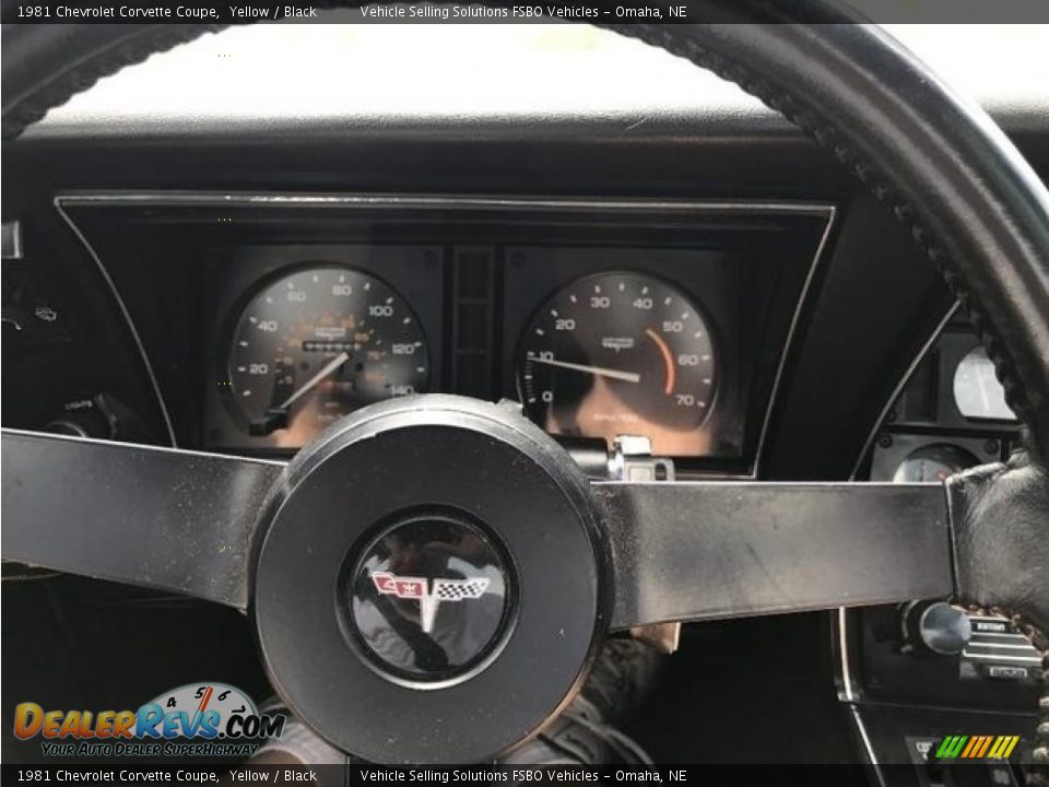 1981 Chevrolet Corvette Coupe Yellow / Black Photo #23