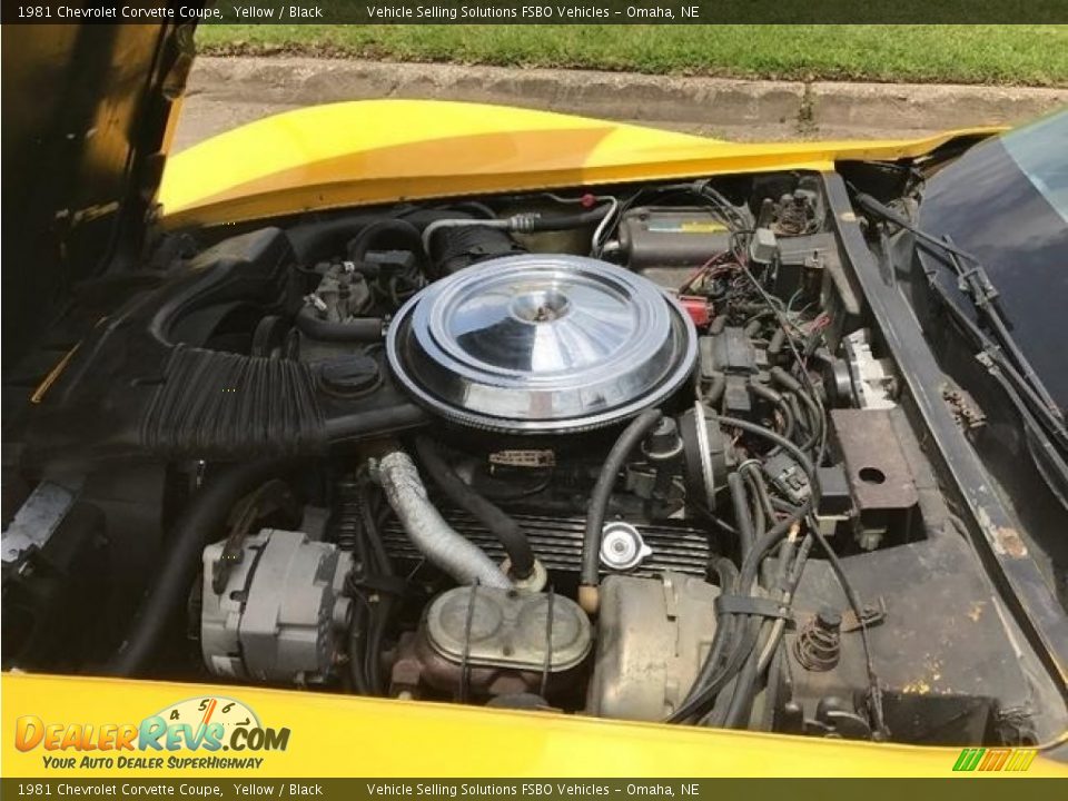 1981 Chevrolet Corvette Coupe Yellow / Black Photo #25