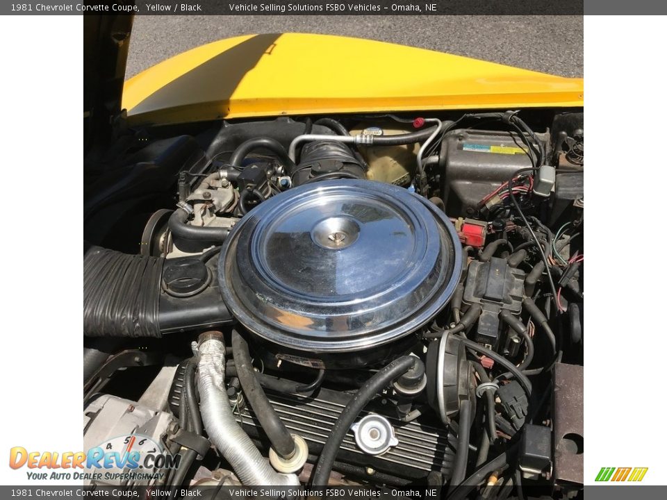 1981 Chevrolet Corvette Coupe Yellow / Black Photo #26