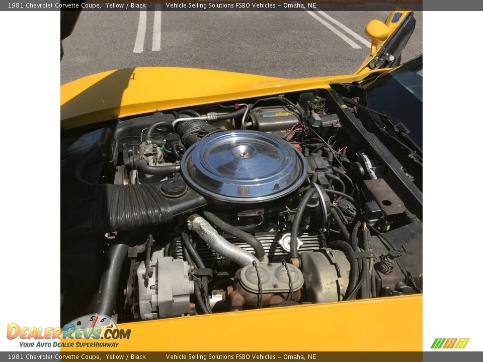 1981 Chevrolet Corvette Coupe Yellow / Black Photo #27