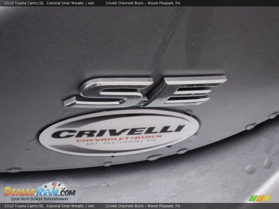 2019 Toyota Camry SE Celestial Silver Metallic / Ash Photo #9