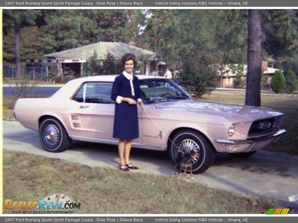 Dusk Rose 1967 Ford Mustang Sports Sprint Package Coupe Photo #5
