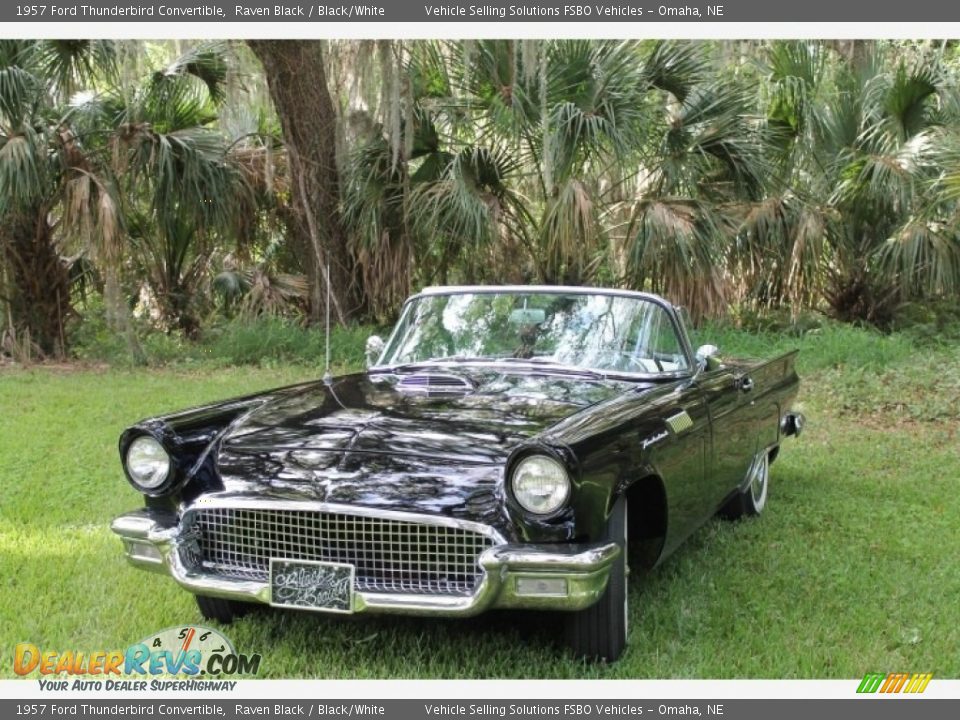 1957 Ford Thunderbird Convertible Raven Black / Black/White Photo #6