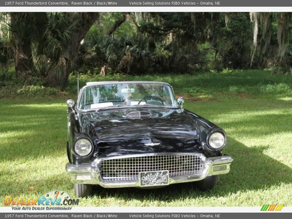 1957 Ford Thunderbird Convertible Raven Black / Black/White Photo #12