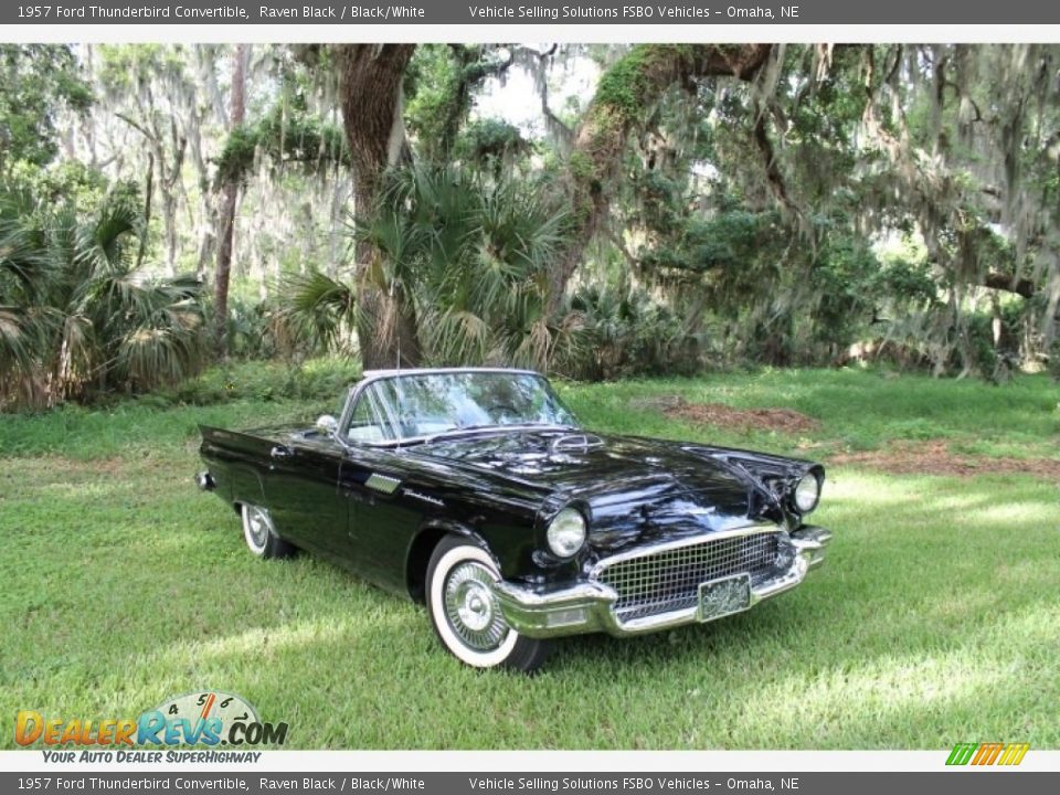 1957 Ford Thunderbird Convertible Raven Black / Black/White Photo #14