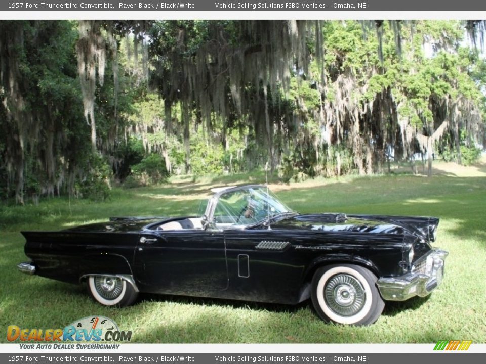 1957 Ford Thunderbird Convertible Raven Black / Black/White Photo #17