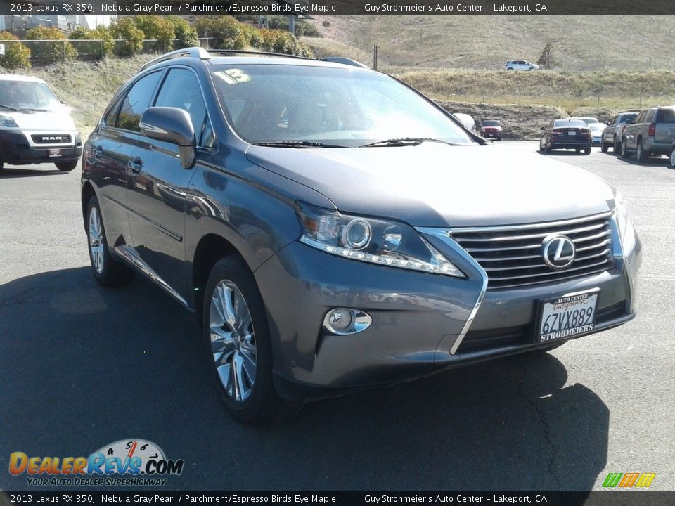 2013 Lexus RX 350 Nebula Gray Pearl / Parchment/Espresso Birds Eye Maple Photo #1