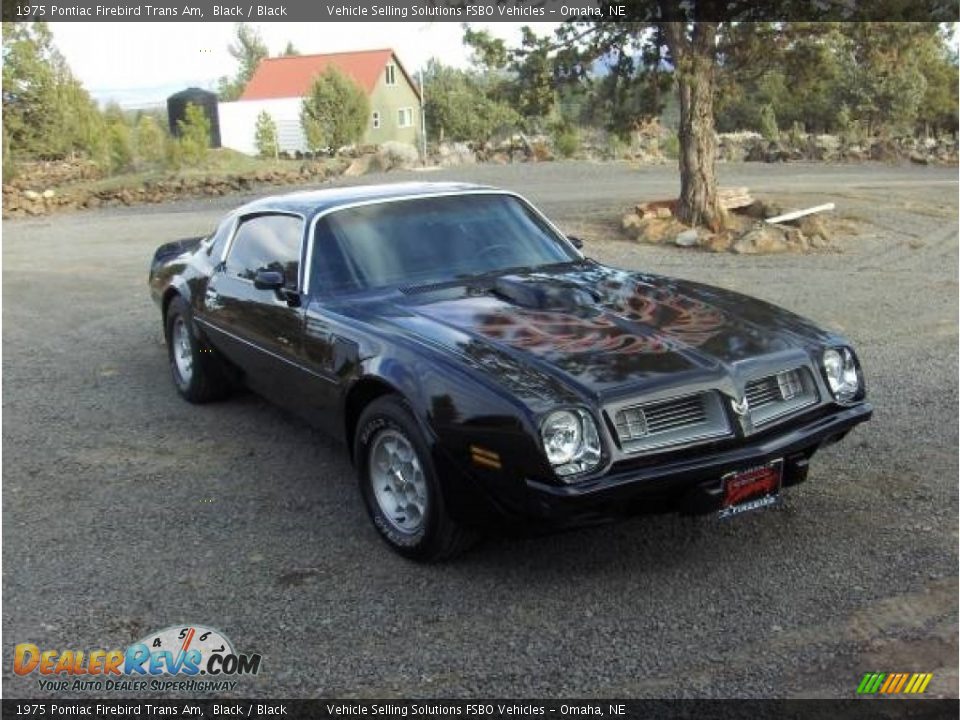 1975 Pontiac Firebird Trans Am Black / Black Photo #1