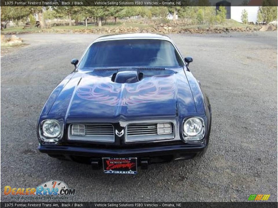 1975 Pontiac Firebird Trans Am Black / Black Photo #2