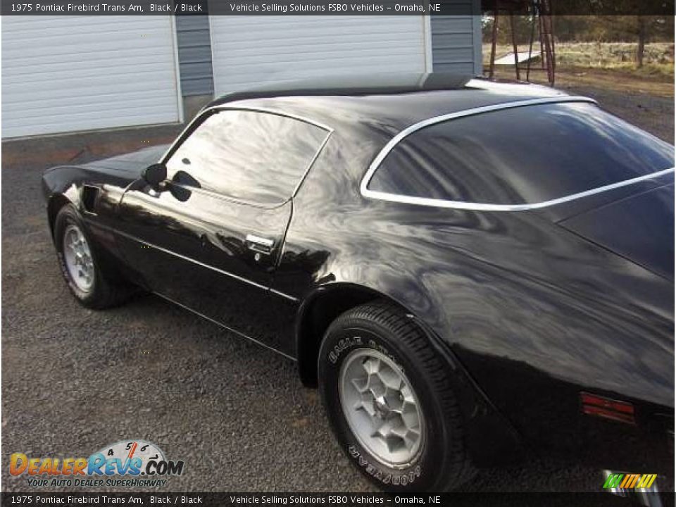 1975 Pontiac Firebird Trans Am Black / Black Photo #3