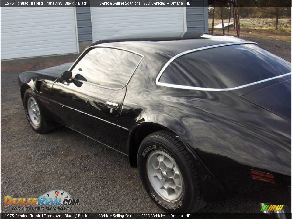 1975 Pontiac Firebird Trans Am Black / Black Photo #3
