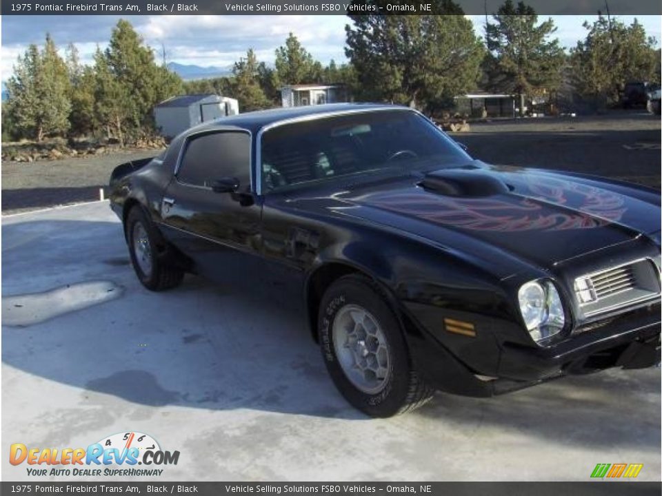 1975 Pontiac Firebird Trans Am Black / Black Photo #6