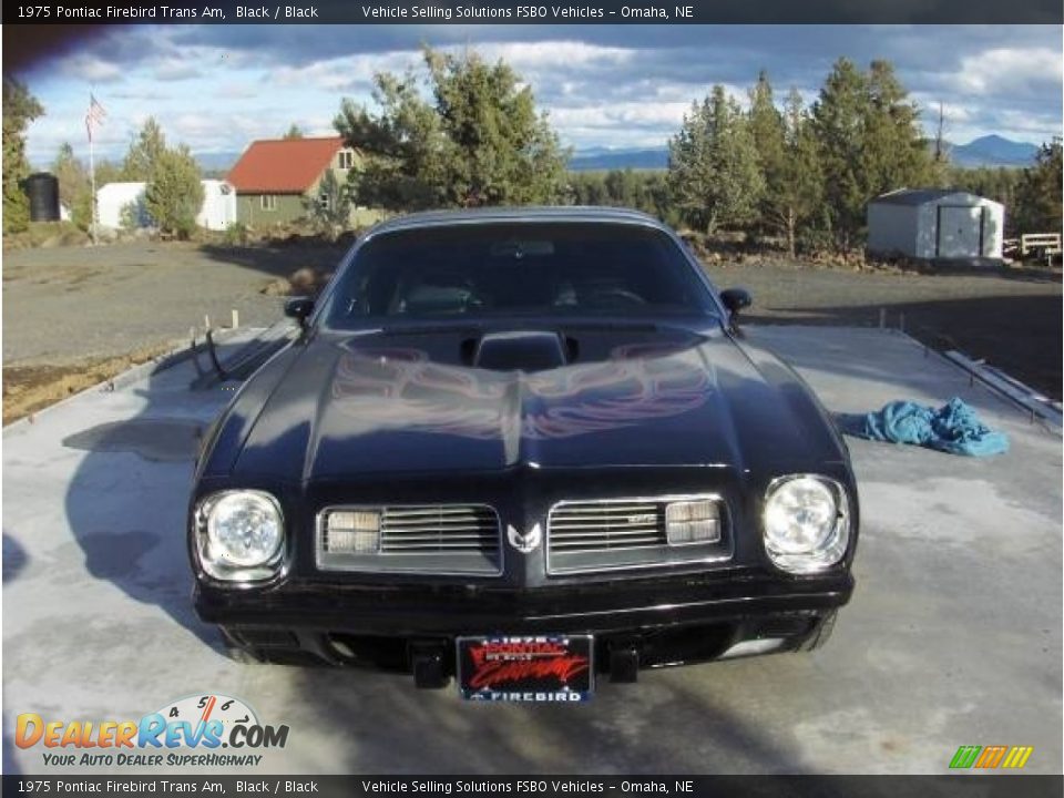 1975 Pontiac Firebird Trans Am Black / Black Photo #8