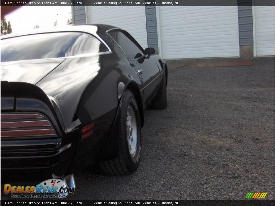 1975 Pontiac Firebird Trans Am Black / Black Photo #10