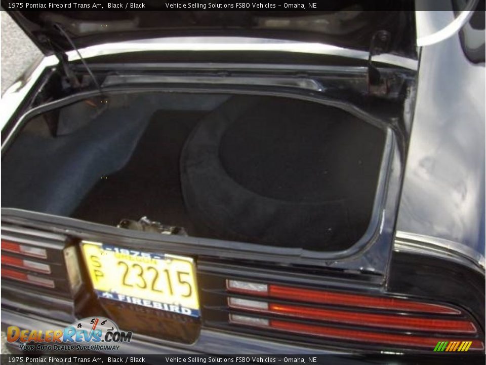 1975 Pontiac Firebird Trans Am Black / Black Photo #11