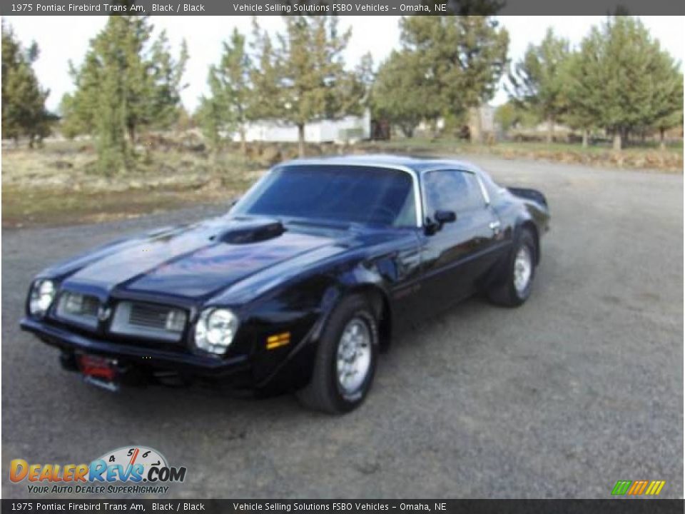 1975 Pontiac Firebird Trans Am Black / Black Photo #33