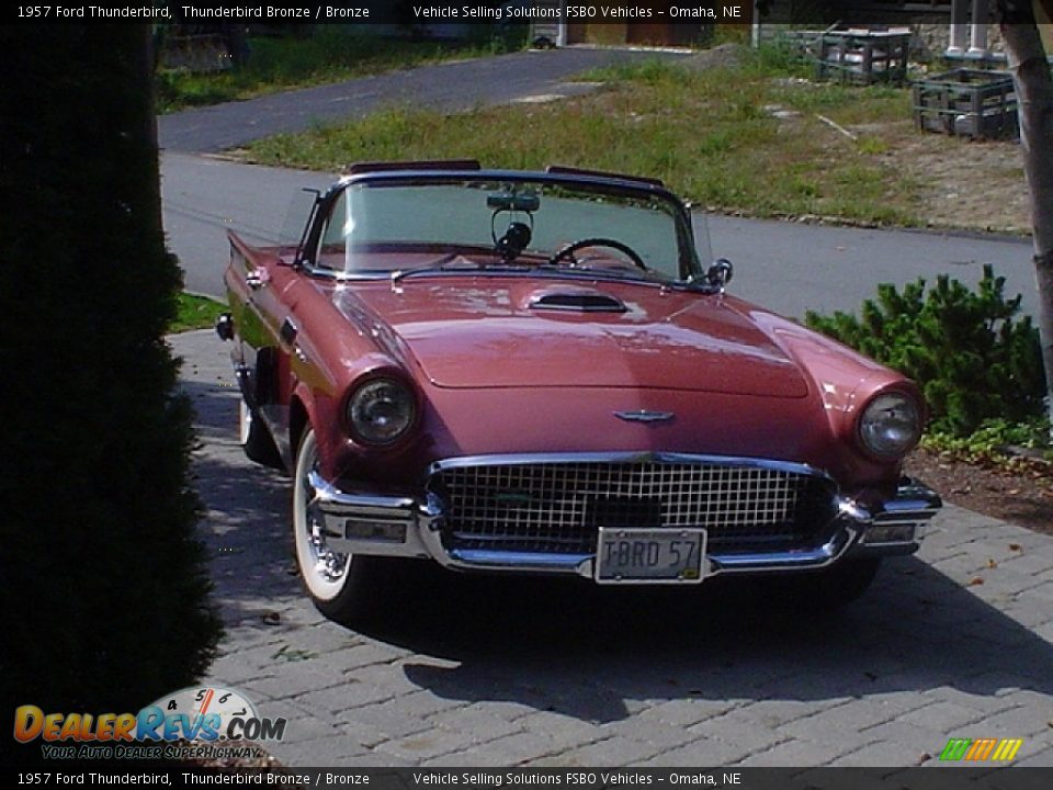 1957 Ford Thunderbird Thunderbird Bronze / Bronze Photo #4