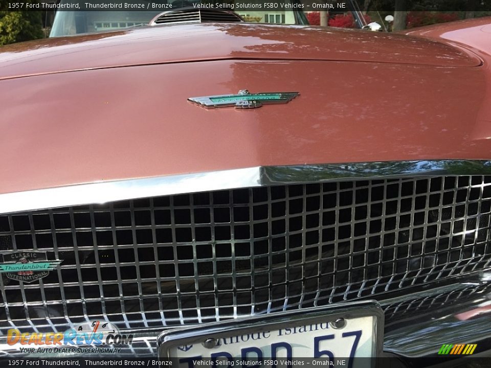 1957 Ford Thunderbird Thunderbird Bronze / Bronze Photo #6