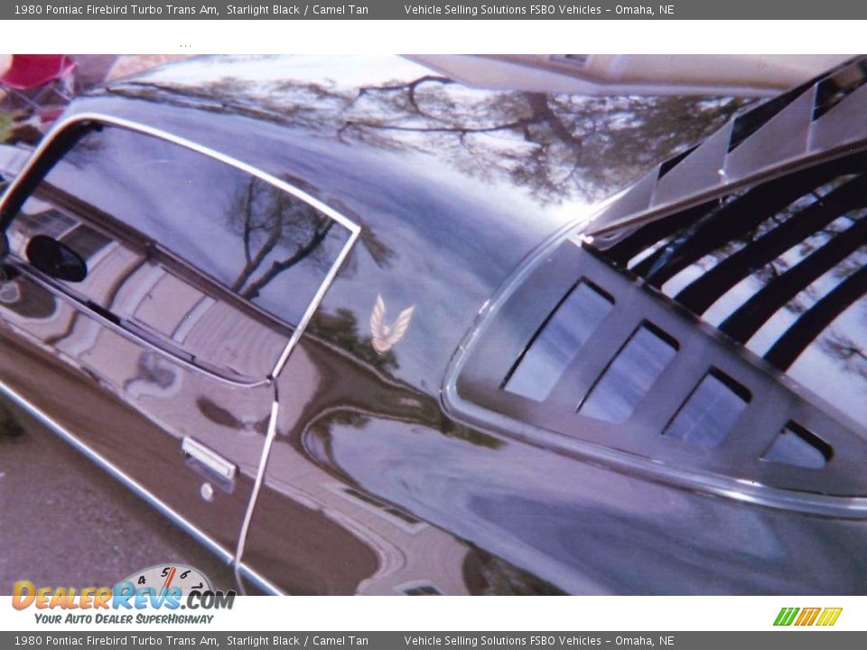 1980 Pontiac Firebird Turbo Trans Am Starlight Black / Camel Tan Photo #3