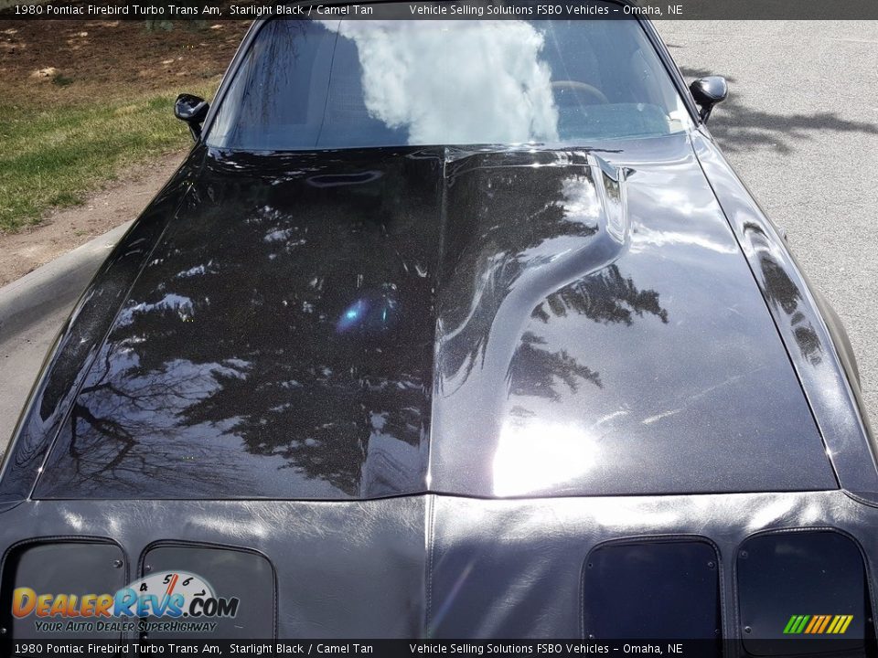 1980 Pontiac Firebird Turbo Trans Am Starlight Black / Camel Tan Photo #14