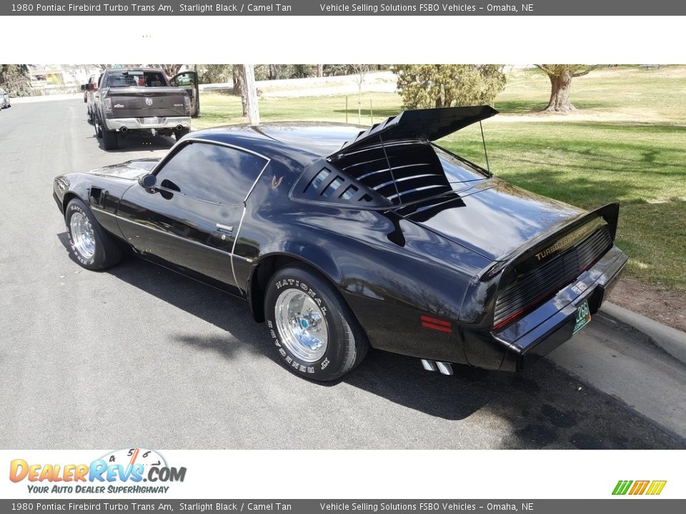 Starlight Black 1980 Pontiac Firebird Turbo Trans Am Photo #18