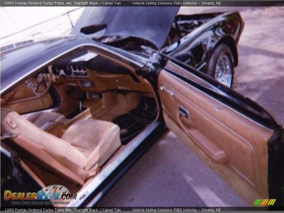 Front Seat of 1980 Pontiac Firebird Turbo Trans Am Photo #23