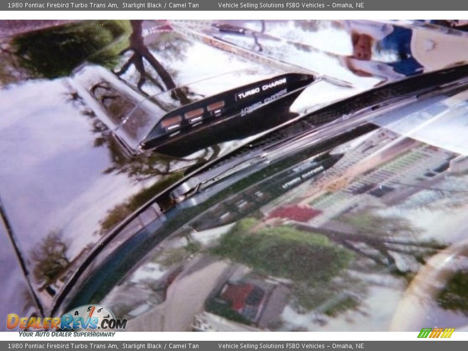 1980 Pontiac Firebird Turbo Trans Am Starlight Black / Camel Tan Photo #24