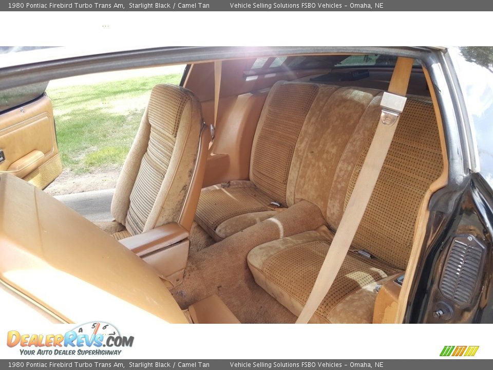 Rear Seat of 1980 Pontiac Firebird Turbo Trans Am Photo #27