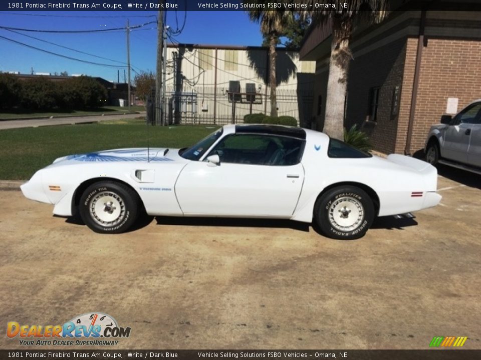 White 1981 Pontiac Firebird Trans Am Coupe Photo #1