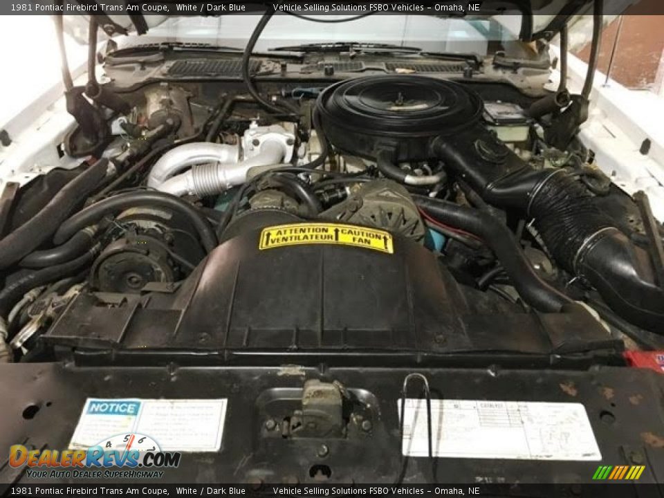 1981 Pontiac Firebird Trans Am Coupe 301 cid Turbocharged OHV 16-Valve V8 Engine Photo #14
