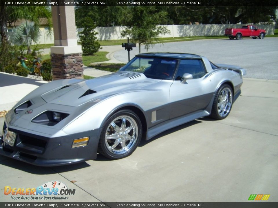 1981 Chevrolet Corvette Coupe Silver Metallic / Silver Grey Photo #1