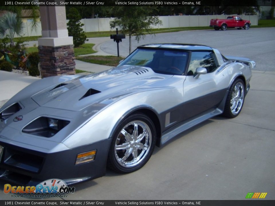 1981 Chevrolet Corvette Coupe Silver Metallic / Silver Grey Photo #2