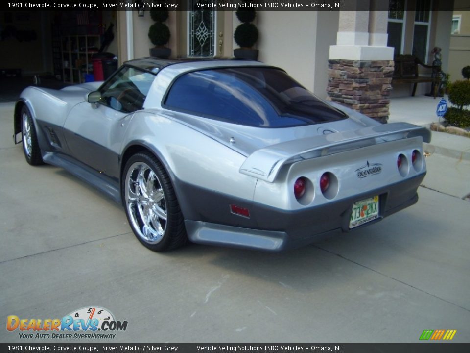 1981 Chevrolet Corvette Coupe Silver Metallic / Silver Grey Photo #3