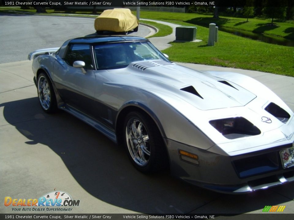 1981 Chevrolet Corvette Coupe Silver Metallic / Silver Grey Photo #5