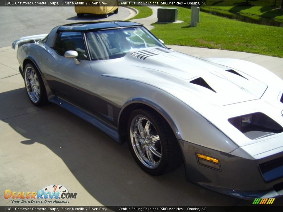 1981 Chevrolet Corvette Coupe Silver Metallic / Silver Grey Photo #6