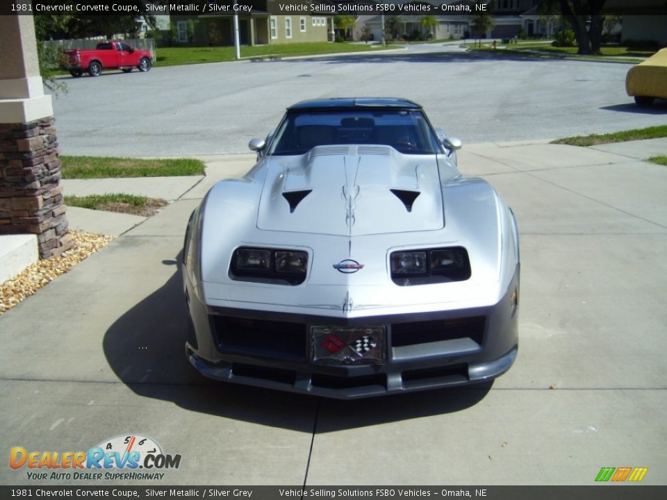 1981 Chevrolet Corvette Coupe Silver Metallic / Silver Grey Photo #7