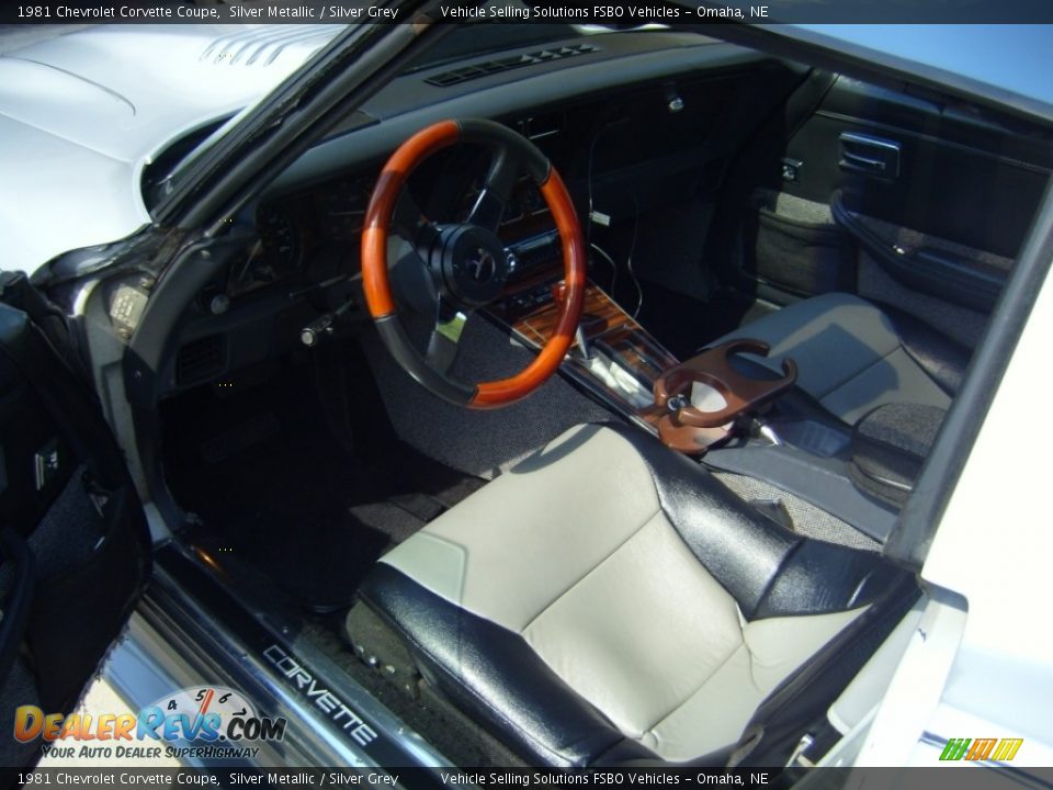 1981 Chevrolet Corvette Coupe Silver Metallic / Silver Grey Photo #10