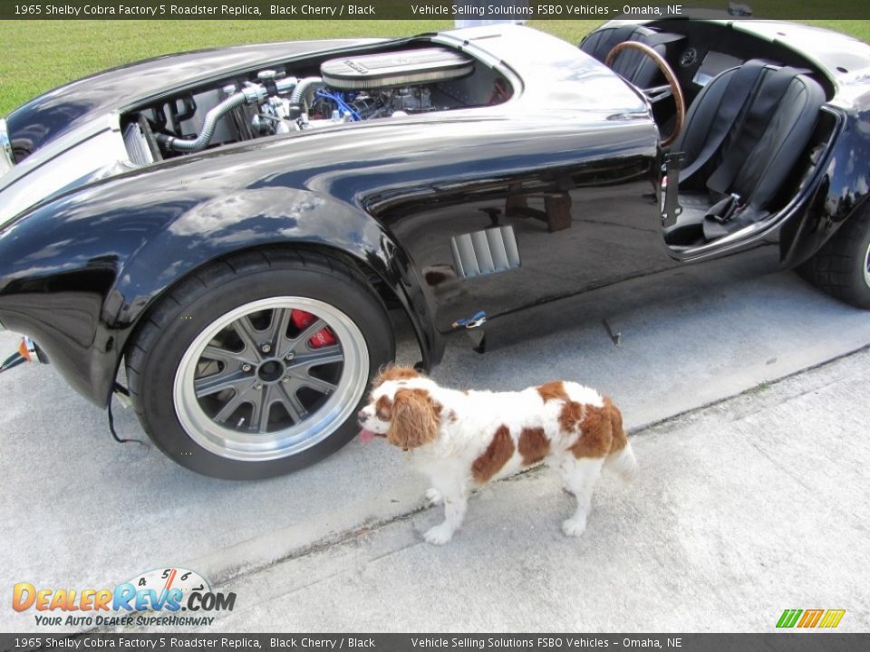 1965 Shelby Cobra Factory 5 Roadster Replica Black Cherry / Black Photo #7