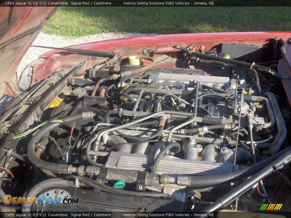 1989 Jaguar XJ XJS V12 Convertible Signal Red / Cashmere Photo #2