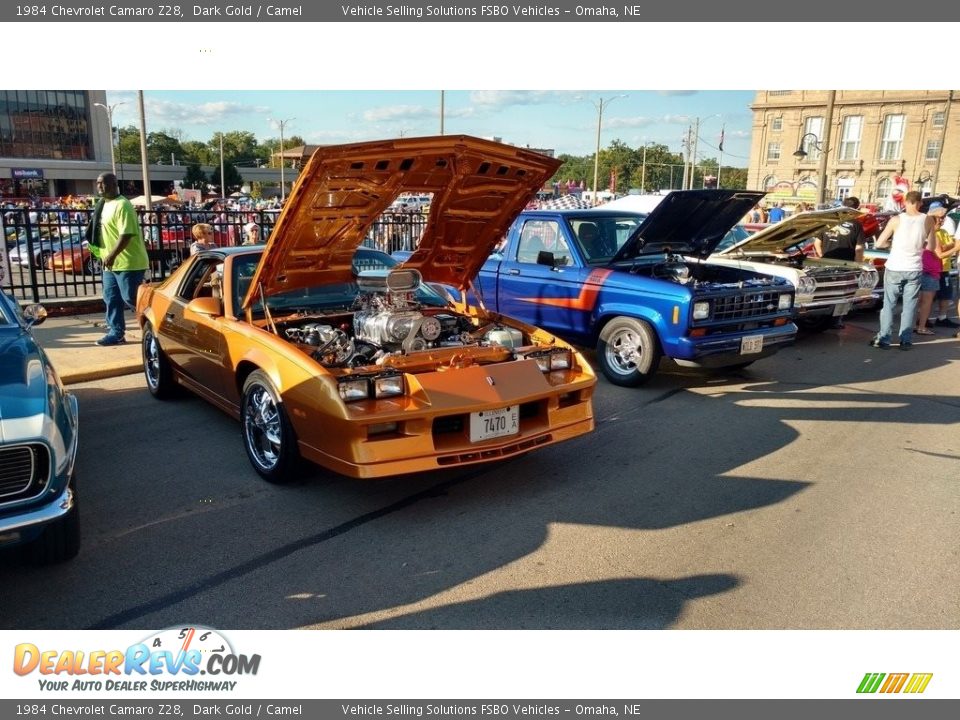 1984 Chevrolet Camaro Z28 Dark Gold / Camel Photo #3