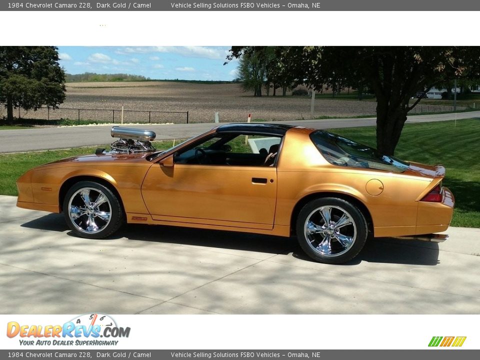 1984 Chevrolet Camaro Z28 Dark Gold / Camel Photo #5