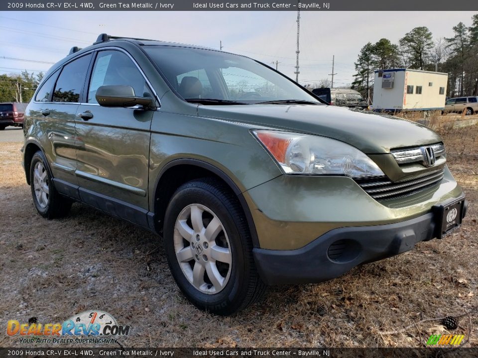 2009 Honda CR-V EX-L 4WD Green Tea Metallic / Ivory Photo #7