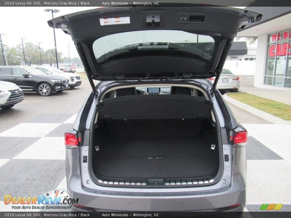 2019 Lexus NX 300 Mercury Gray Mica / Black Photo #5