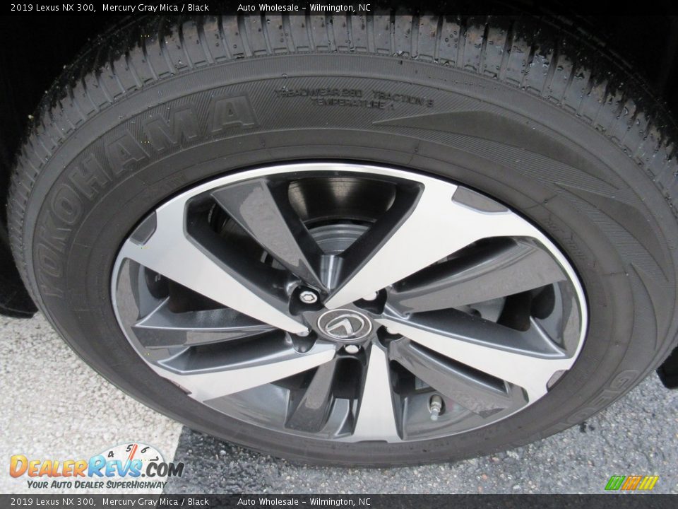2019 Lexus NX 300 Mercury Gray Mica / Black Photo #7