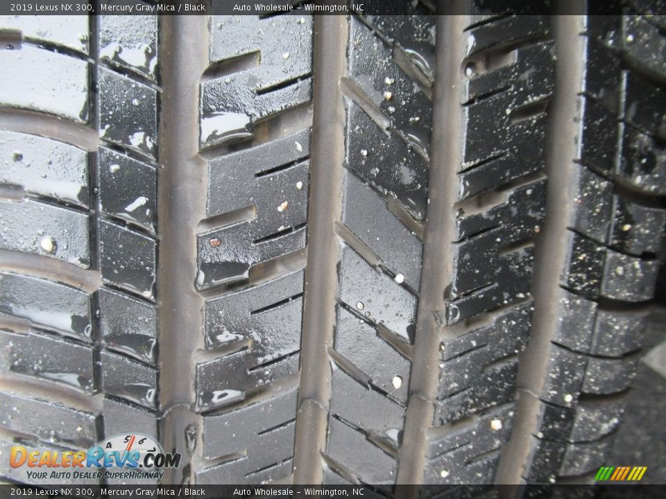 2019 Lexus NX 300 Mercury Gray Mica / Black Photo #9
