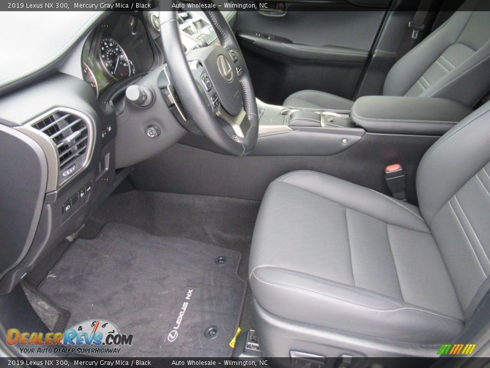 2019 Lexus NX 300 Mercury Gray Mica / Black Photo #10