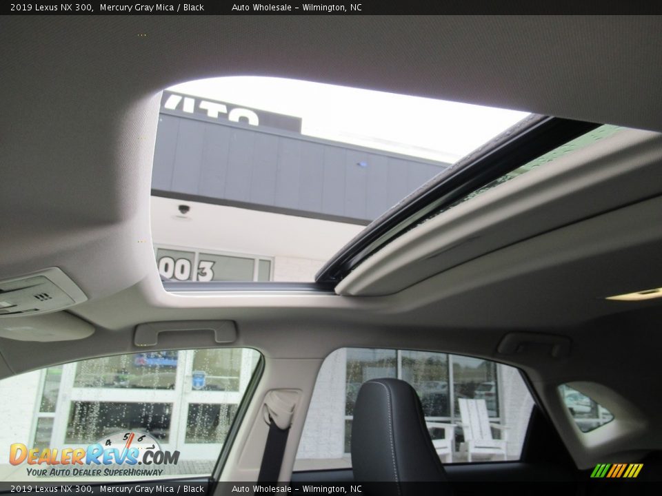 2019 Lexus NX 300 Mercury Gray Mica / Black Photo #11