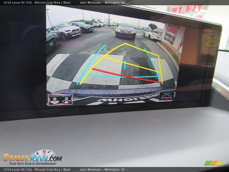 2019 Lexus NX 300 Mercury Gray Mica / Black Photo #18