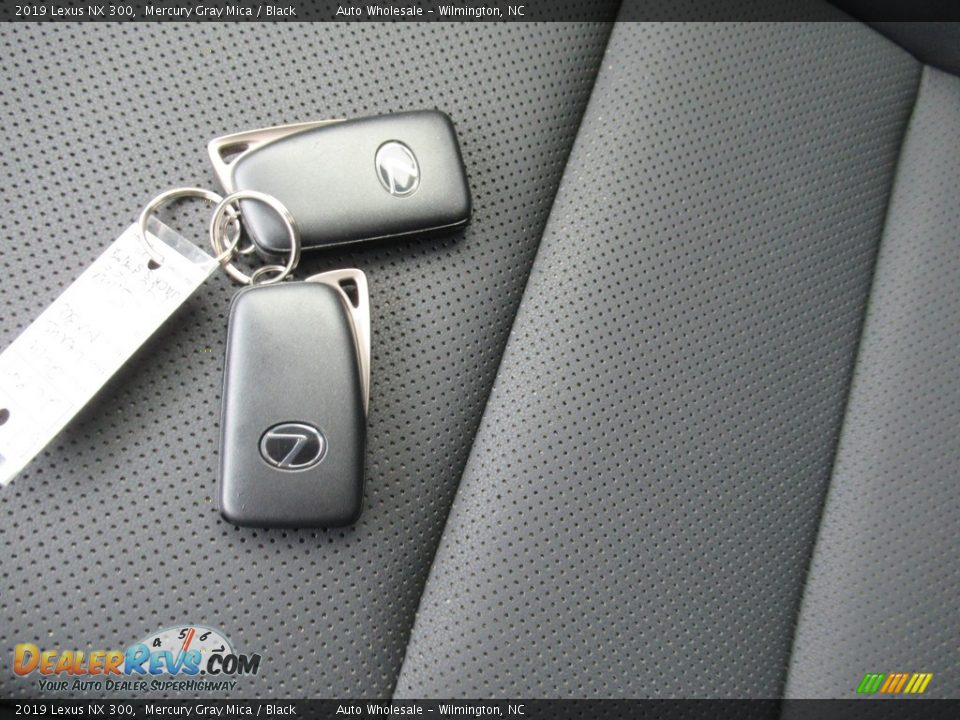 2019 Lexus NX 300 Mercury Gray Mica / Black Photo #20