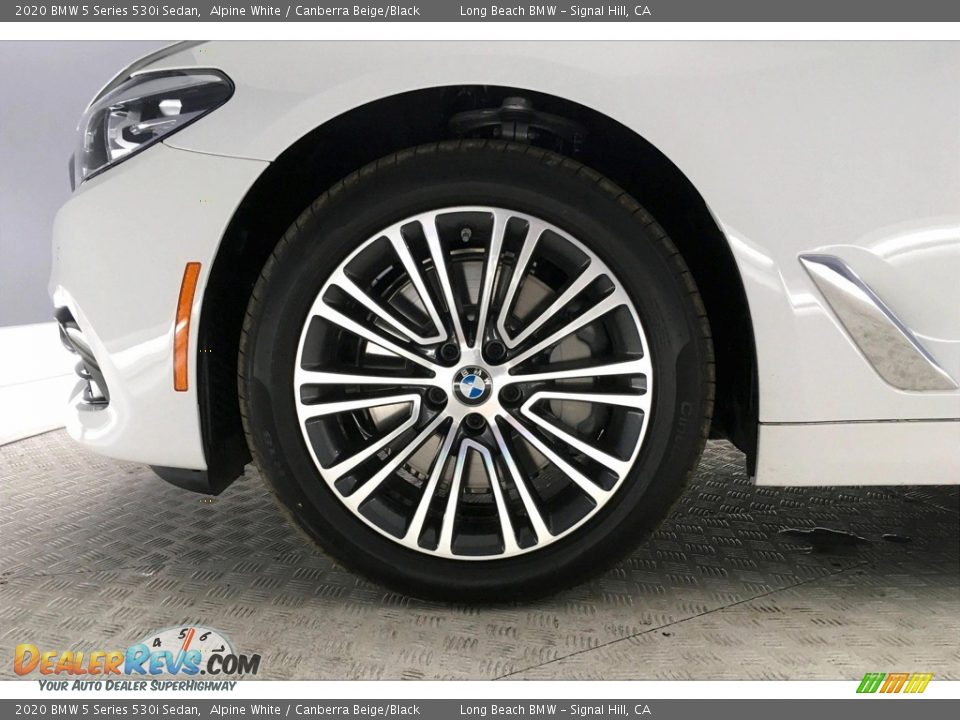 2020 BMW 5 Series 530i Sedan Alpine White / Canberra Beige/Black Photo #9